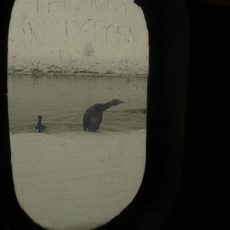 De Boot Hotel Merkem Kültér fotó