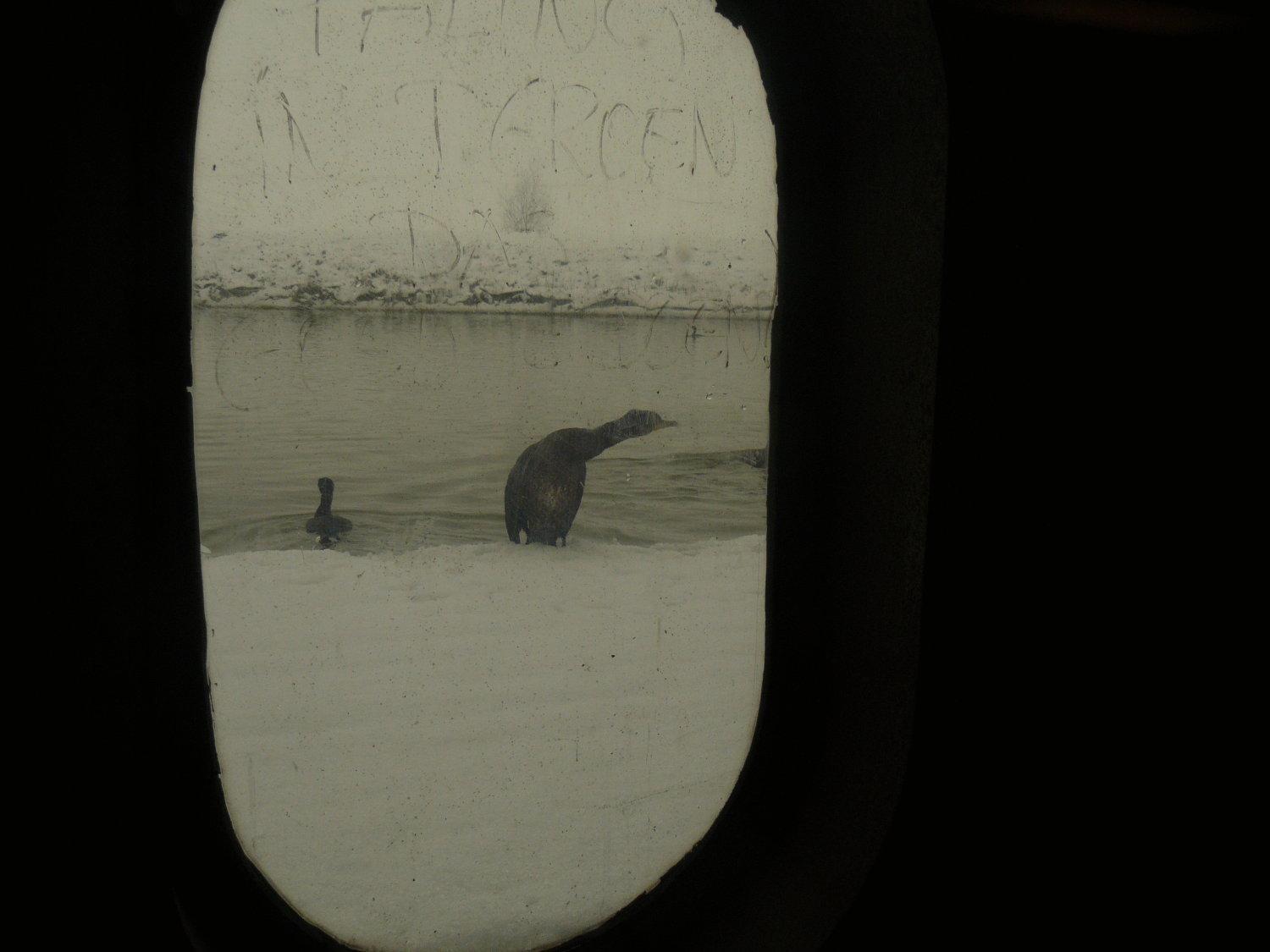 De Boot Hotel Merkem Kültér fotó